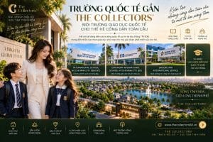 Trường Quốc Tế Gần The Collectors' Có Những Trường Nào?